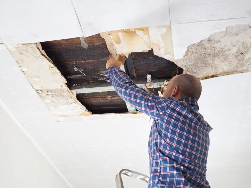What Is Professional Water Damage Cleanup?