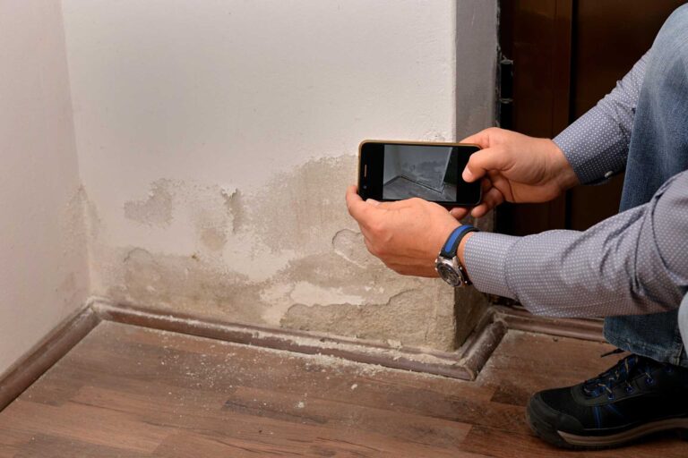Top Safe Strategies for Mold Remediation