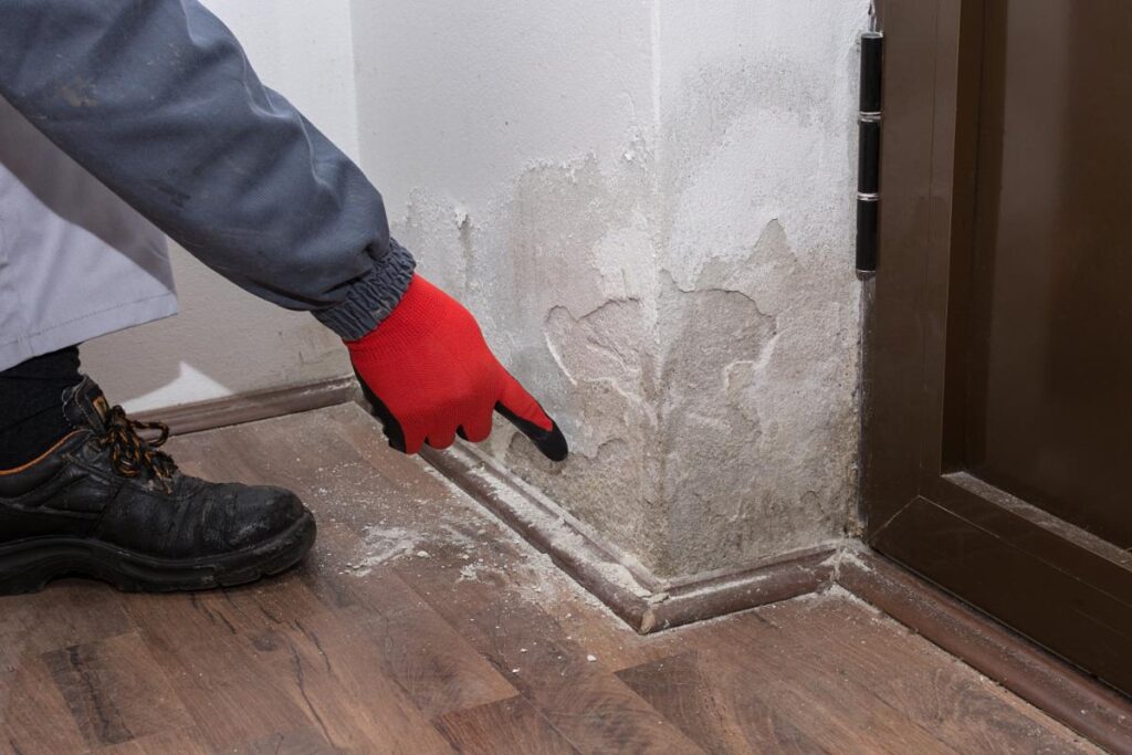 How to Handle Emergency Water Extraction at Home