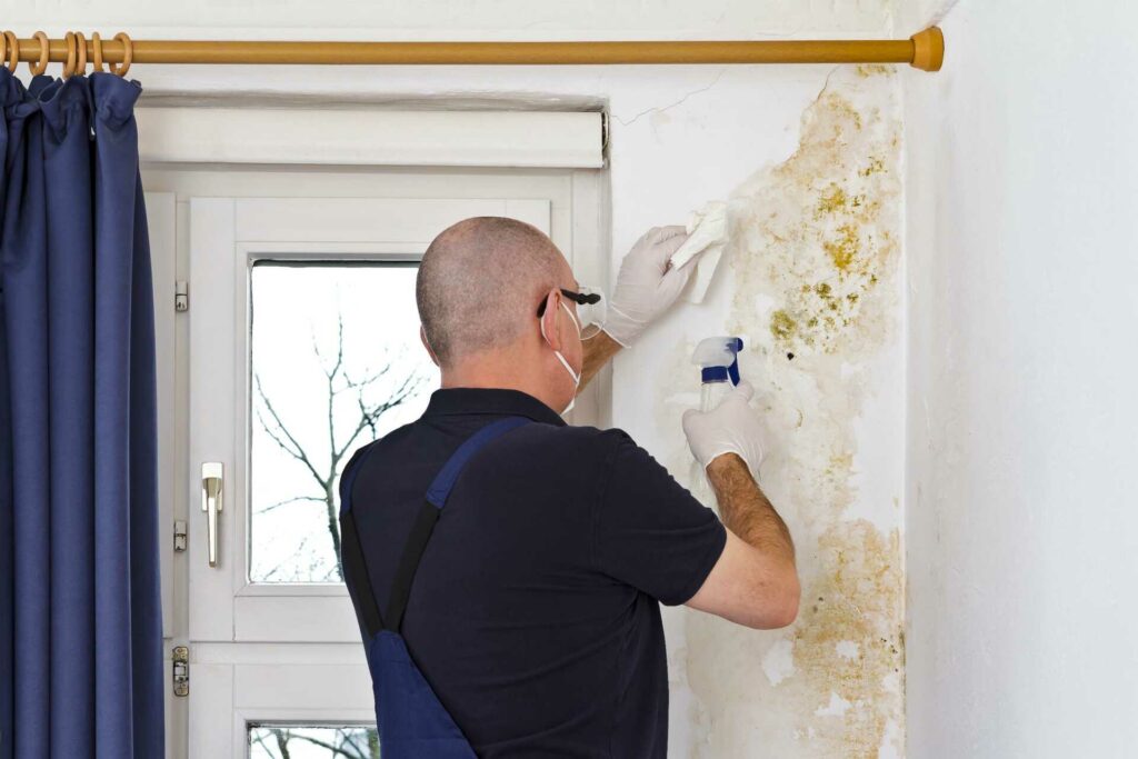 What Are Budget-Friendly Solutions for Mold Damage Restoration?