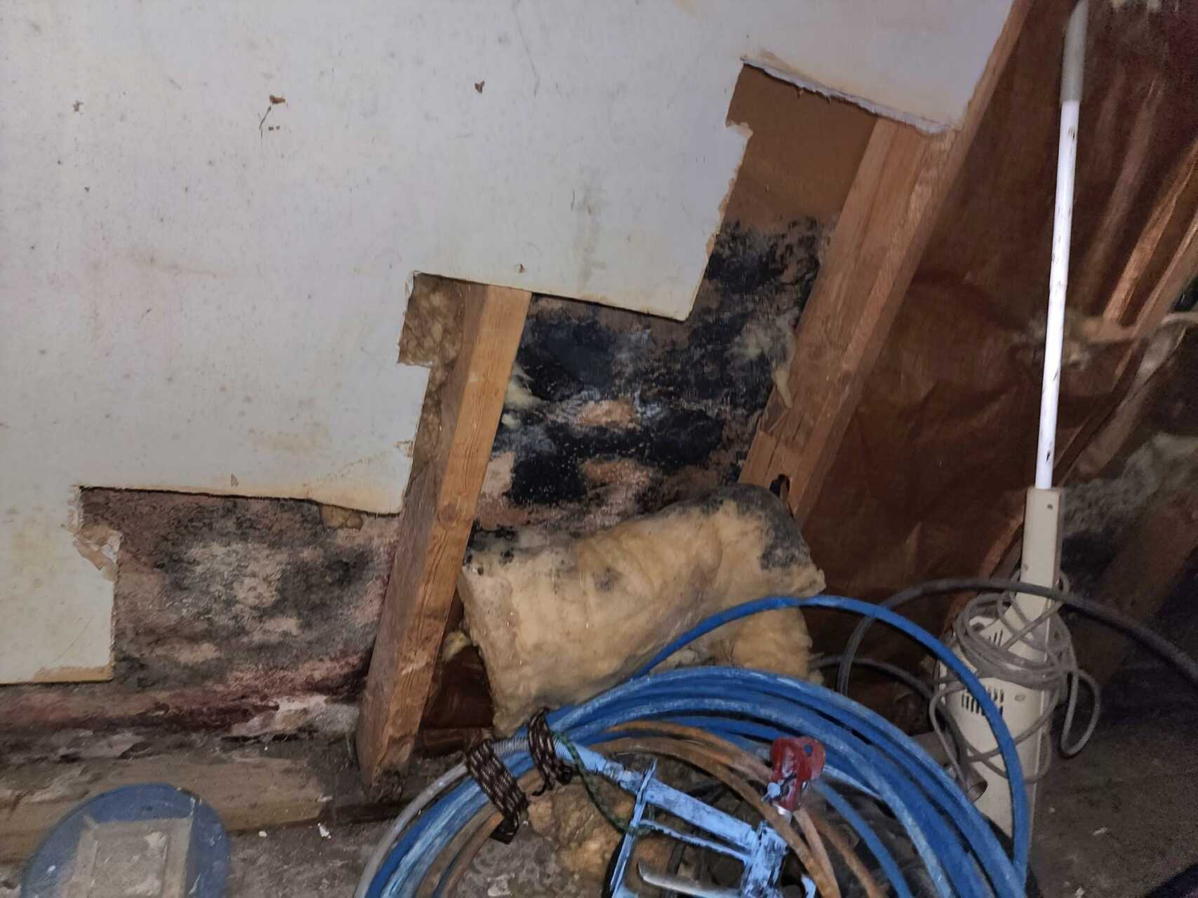 Why Choose Emergency Structural Drying Services for Homes? | Best Cleanup