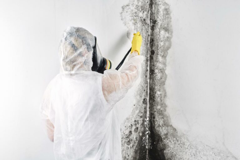 Why Are Some Mold Remediation Solutions Faster?