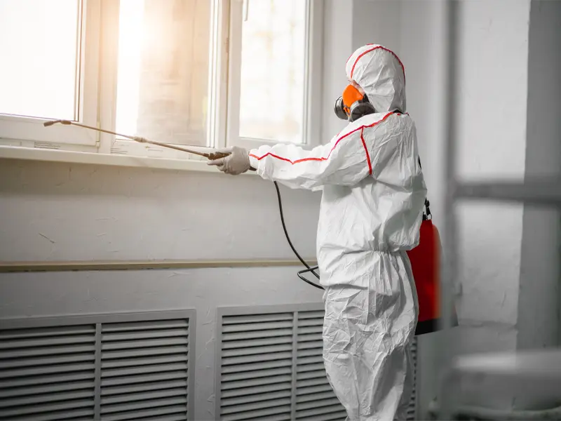 Professional performing Hickory mold damage restoration services in a commercial building